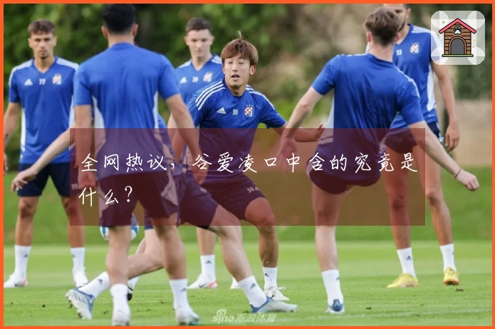 全网热议，谷爱凌口中含的究竟是什么？