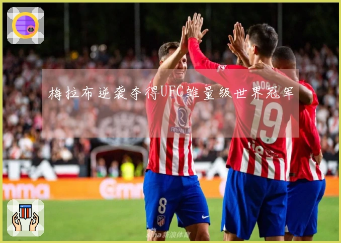 梅拉布逆袭夺得UFC雏量级世界冠军