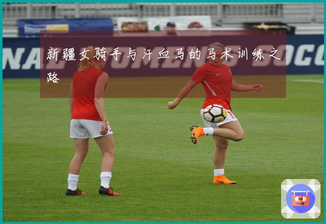 新疆女骑手与汗血马的马术训练之路