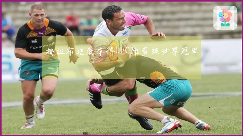 梅拉布逆袭夺得UFC雏量级世界冠军