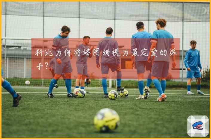 科比为何将塔图姆视为最宠爱的弟子？